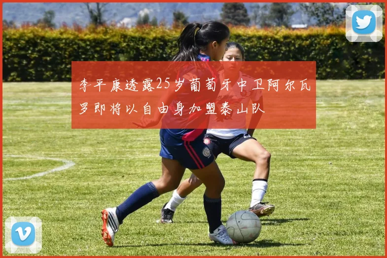 李平康透露25岁葡萄牙中卫阿尔瓦罗即将以自由身加盟泰山队