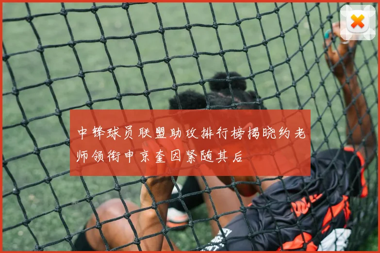 中锋球员联盟助攻排行榜揭晓约老师领衔申京奎因紧随其后